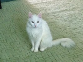 Добавим контраст