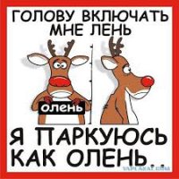 Мастера парковки