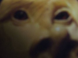 С фотошлепом не дружу, снимала моя девчонка на камеру Sony номер не знаю... Условия съемки, темная комната, для настройки каких-то прибамбасов в фотике. ЗЕРКАЛА в комнате нет! Это не она!