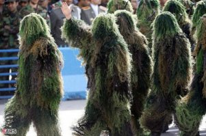 Иран? густые леса?