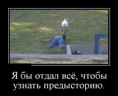 И кто из них навалил эту эпичную кучу)