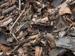 С чем-чем он там любит работать?