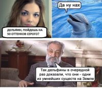 Дельфинов пост. Часть 1