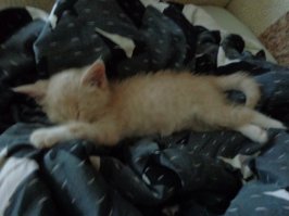 21 гримаса тех, кто не любит рано вставать по утрам