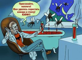 Комар и его "причиндал"