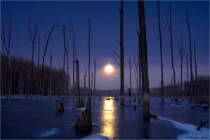 Завораживающие фотографии лунного отблеска на воде