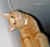 А вот котика перемыли слишком!!! Размыли...