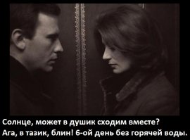 Трагедии свежевымытых котов