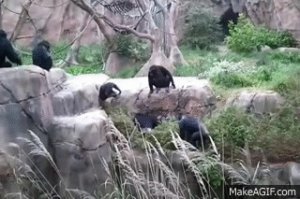 Обнаглевший пользователь пришел учить программистов, как писать код