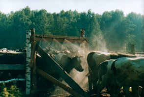 а тема не нова...