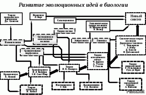 После Дарвина вообще куча народу была, вы в курсе? И, кстати, в науке термин "теория" означает далеко не то же самое, что в быту. В разговорной речи «теория» это догадка или предположение, то в науке «теория» — объяснение, прогноз, который был доказан экспериментально, либо другим способом. 
И никто уже не оперирует теорией Дарвина, после него за много десятков лет развилась Синтетическая теория эволюции, а это охрененный такой шажок для всего человечества, в том числе, совершенный с помощью оборудования и различных новых открытий. Ознакомьтесь.