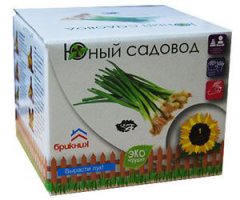 Чтобы снять зуд в межсезонье: