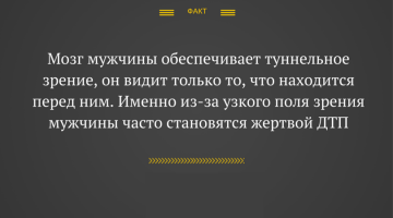 Не согласен. МЫ видим ВСЕ что происходит на дороге, за исключением "Нежданчиков". Описанное в этом отличии - 100 % женский косяк!