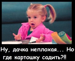 Студент построил себе дом на колесах