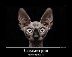 20 фотографических услад для глаз перфекциониста
