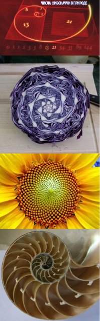 20 фотографических услад для глаз перфекциониста