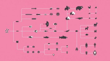 7 главных заблуждений об эволюции