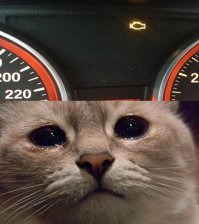 Вечная моя спутница