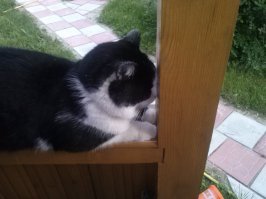 спишь, никого не трогаешь... и тут начинают щелкать фотоаппаратом. :)