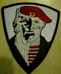 3б Пример неофициального знака спецназа ВВ МВД "Оборотень" (который в США и Европе нередко ошибочно приписывают к ВДВ) ..... ясен пень, художник-дальтоник намалевал голубой берет, так любого в ВДВ припишут.