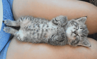 21 гримаса тех, кто не любит рано вставать по утрам