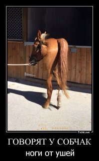 26 панорамных фото, которые получились просто ужасно