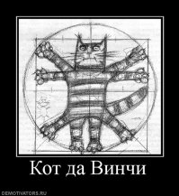 Что нужно знать о золотом сечении