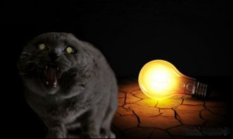 Как говорил господин Станиславский-не верю.Статья сопли розовые,рояли видно не вооружённым взглядом.