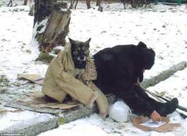 Классные фото наших друзей