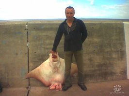 с о. Мадейры