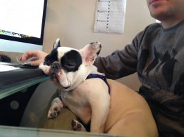 Тихо!Царь спит!!