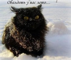 После резкого похолодания в Воркуте выпал снег 