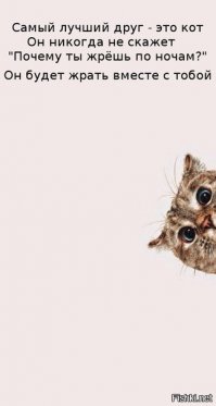 Классные фото наших друзей