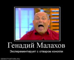 Дары природы, которые могут заменить содержимое аптечки
