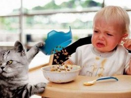 Классные фото наших друзей