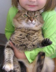 Классные фото наших друзей