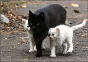 Классные фото наших друзей