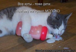 Классные фото наших друзей
