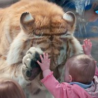 Классные фото наших друзей