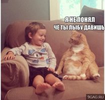 Классные фото наших друзей