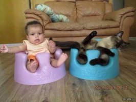 Классные фото наших друзей