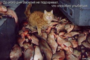 20 доказательств того, что всё будет хорошо