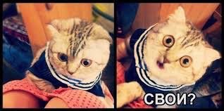 Смешные комментарии из социальных сетей 06.07.15