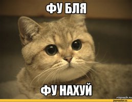 Причем тут киношек? Я объективно сужу: песчаные пляжи Римини - есть гуд, то, что на фото (а у нас в раёне - подобные) - суть говно и сплошные неудобняки. Чтобы с кайфом искупаться, в воду чуть ли не в тапочках нужно заходить.