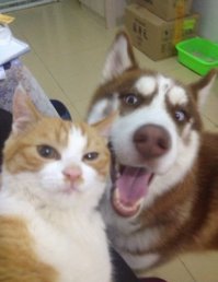 Офигенное селфи! 
А не всякие там Кардашьян со своими жиросиликоновыми сраками.