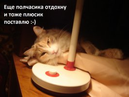 21 жизненная открытка для отличного настроения 