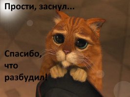 21 жизненная открытка для отличного настроения 