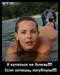 14 собак, которые очень боятся воды