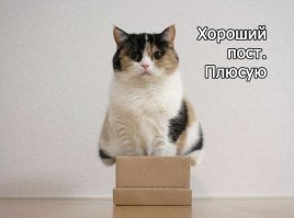 21 жизненная открытка для отличного настроения 