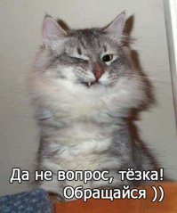 21 жизненная открытка для отличного настроения 